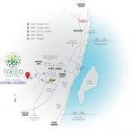 treeo-locationmap