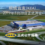 ikea-opening-march-2019-cn