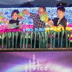 picc-light2