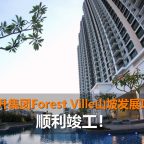 ForestVille - Pool View-f