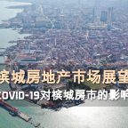 新冠肺炎COVID-19的影响