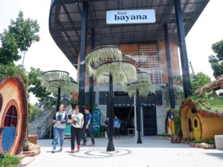 bayana-8